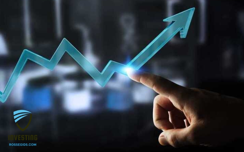 INVEST IN POTENTIAL NETWORK IN THE NEW YEAR